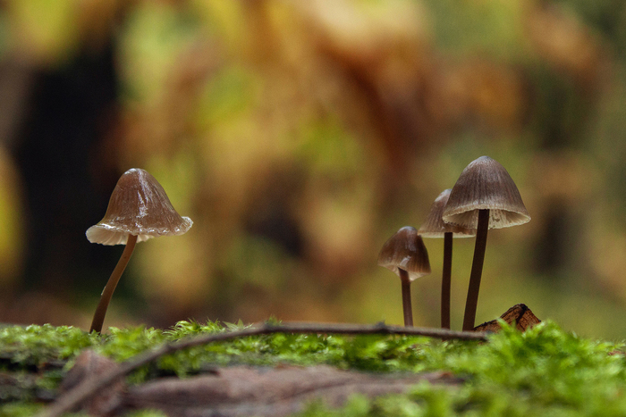 ���������� �����-�� ��������