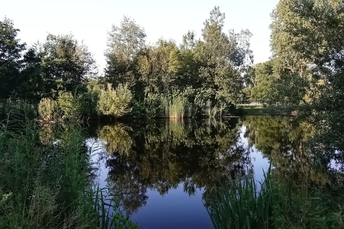 Вспоминая лето...