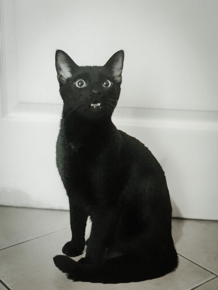 �� ��� �� ����� ������� ?