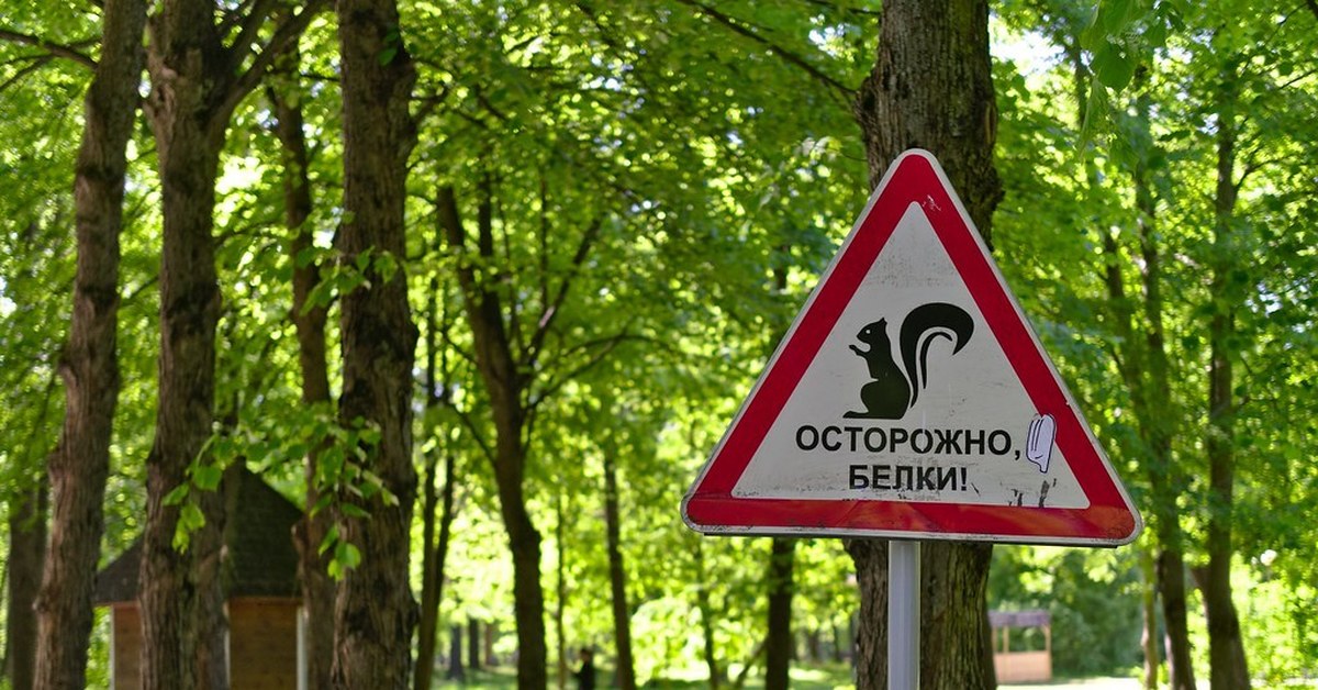 Знак опасности лес