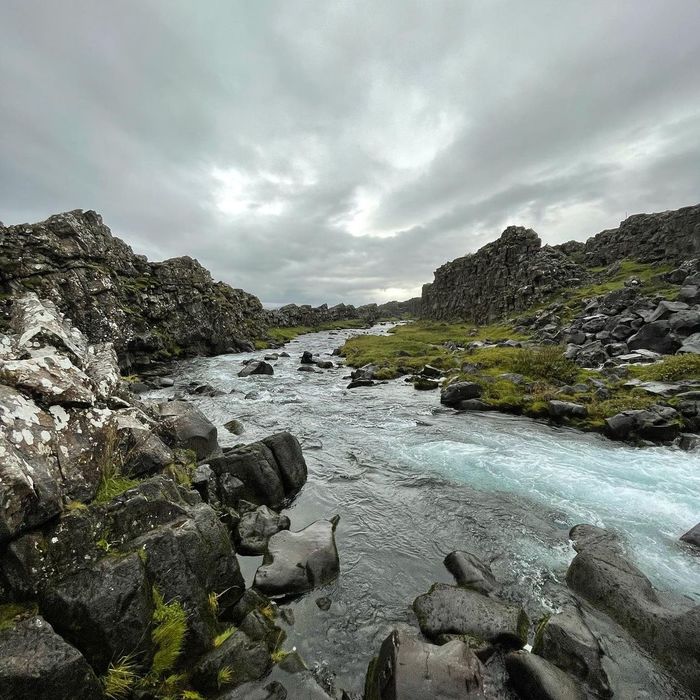 Iceland, Thingvellir (ingvellir) , , , ,  