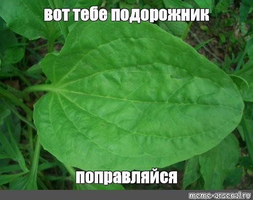 БЕЗ РУЛЯ И ВЕТРИЛ