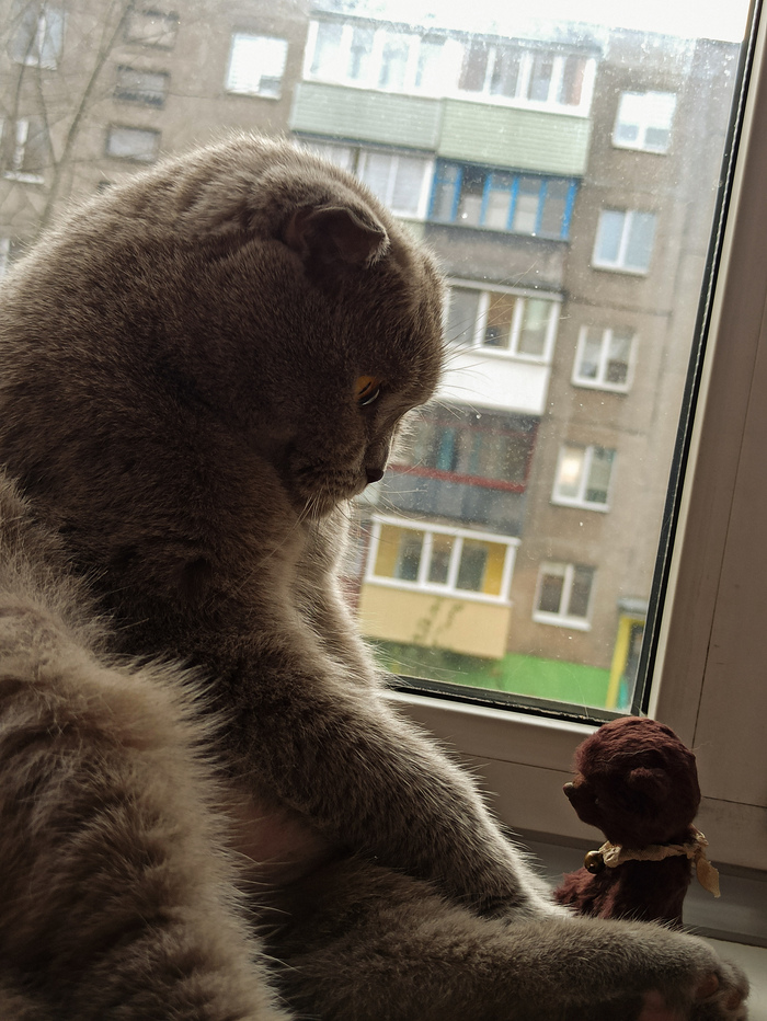 можно ли пришить коту яйца обратно. Смотреть фото можно ли пришить коту яйца обратно. Смотреть картинку можно ли пришить коту яйца обратно. Картинка про можно ли пришить коту яйца обратно. Фото можно ли пришить коту яйца обратно