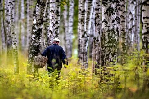 ������ ��������