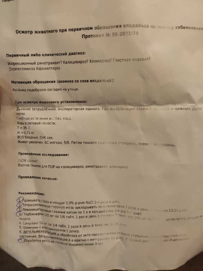 верните пожалуйста телефон за вознаграждение. Смотреть фото верните пожалуйста телефон за вознаграждение. Смотреть картинку верните пожалуйста телефон за вознаграждение. Картинка про верните пожалуйста телефон за вознаграждение. Фото верните пожалуйста телефон за вознаграждение