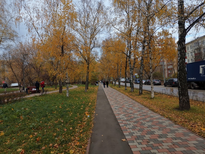 на каком уровне должно быть седло велосипеда. Смотреть фото на каком уровне должно быть седло велосипеда. Смотреть картинку на каком уровне должно быть седло велосипеда. Картинка про на каком уровне должно быть седло велосипеда. Фото на каком уровне должно быть седло велосипеда
