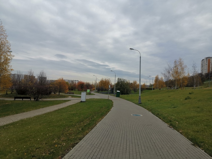 на каком уровне должно быть седло велосипеда. Смотреть фото на каком уровне должно быть седло велосипеда. Смотреть картинку на каком уровне должно быть седло велосипеда. Картинка про на каком уровне должно быть седло велосипеда. Фото на каком уровне должно быть седло велосипеда