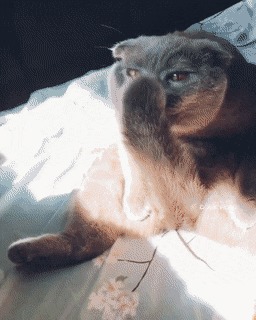   , , , 