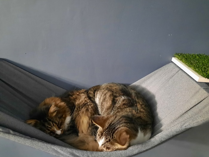 ��� ��� ������. �� ��� ������� �������