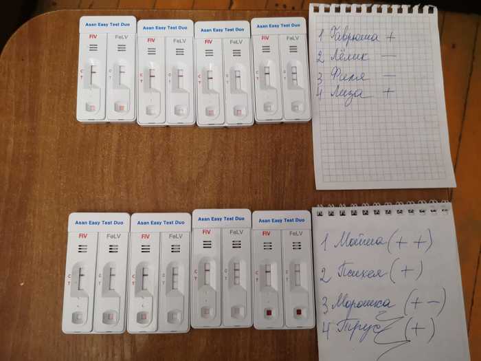 удивительное поражение мозга мем