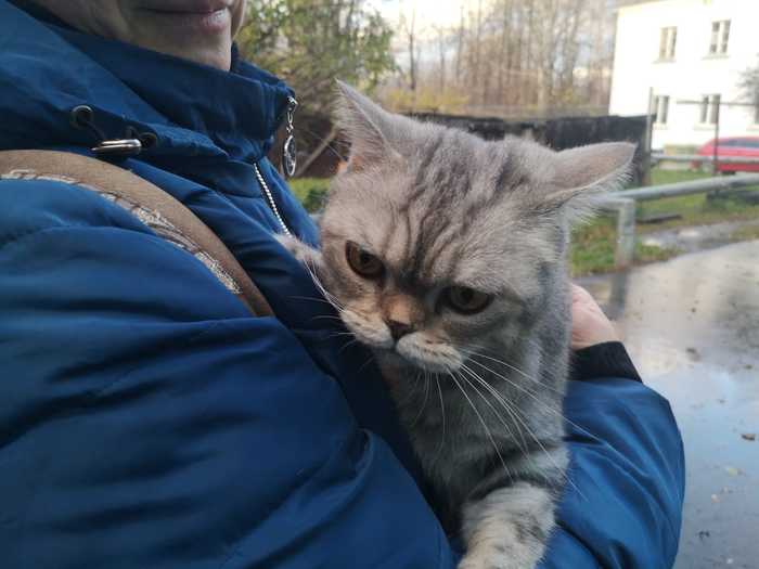 удивительное поражение мозга мем
