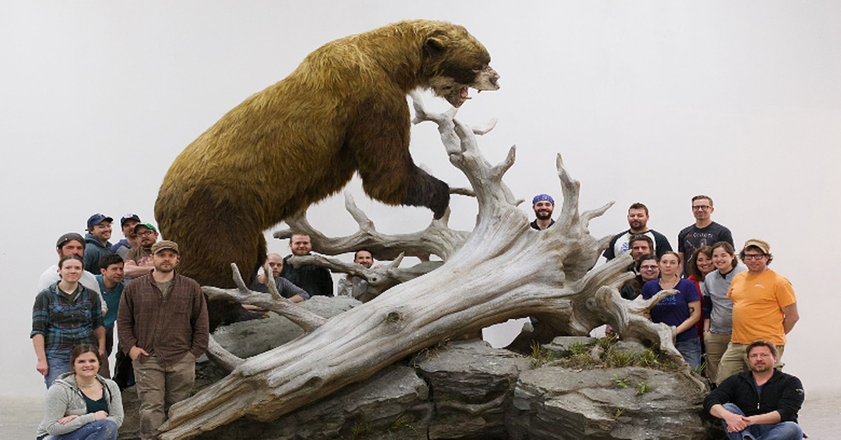 Мамонт рино. Гигантский Короткомордый медведь. Короткомордый пещерный медведь. Древний медведь Арктодус. Древний Короткомордый медведь.