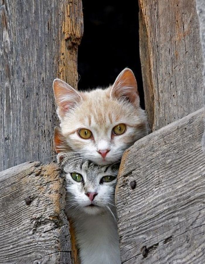 ���������, �� ������...