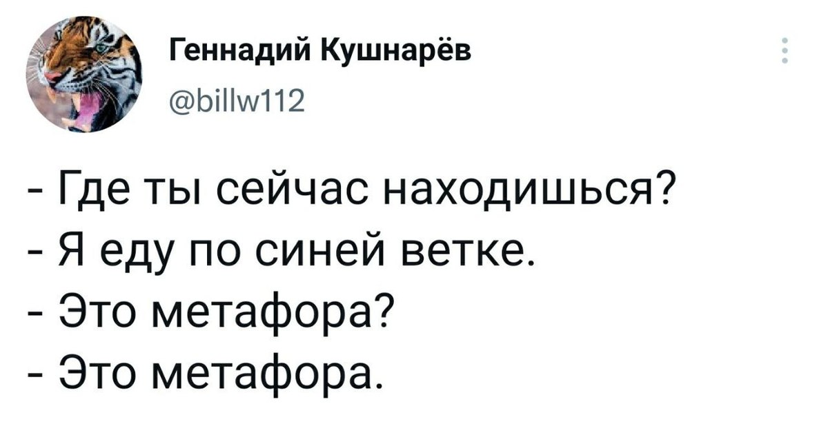 Ехать найтись. Я еду по синей ветке это метафора. Смешные метафоры. Где ты сейчас находишься еду по синей ветке это метафора. Синяя ветка метафора.