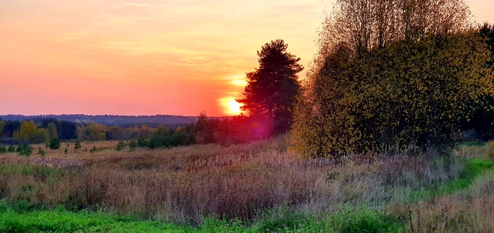 какое лето на севере