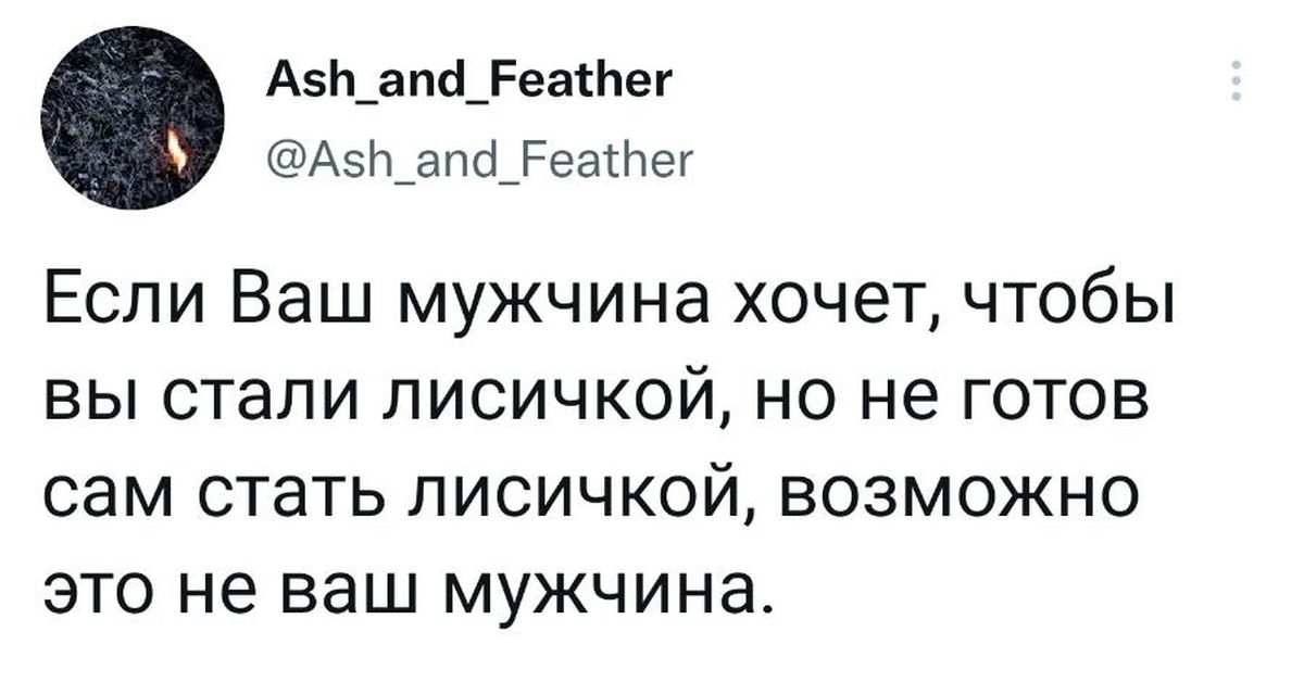 Прибрежный Лис Твиттер