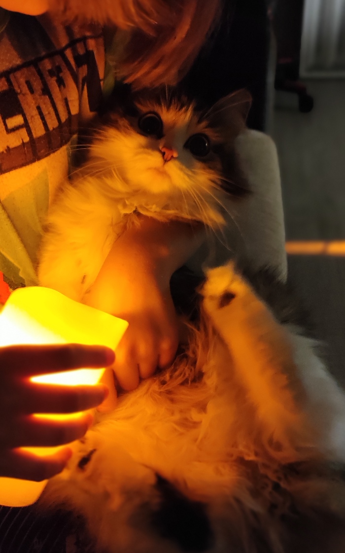 ��� ����� � ������