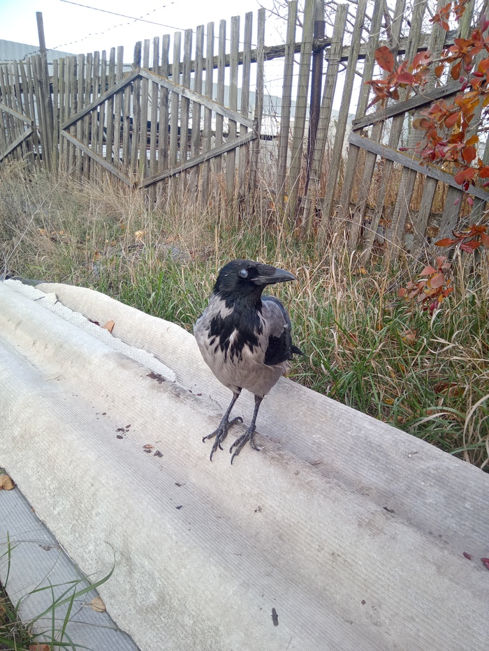 ���� �� ����