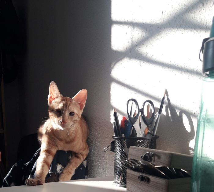 ����� �����