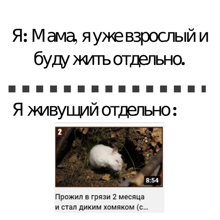   ,   , , , 