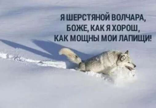 реальные истории похудения после родов с фото до и после. Смотреть фото реальные истории похудения после родов с фото до и после. Смотреть картинку реальные истории похудения после родов с фото до и после. Картинка про реальные истории похудения после родов с фото до и после. Фото реальные истории похудения после родов с фото до и после
