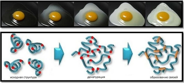 serratia odorifera что это. Смотреть фото serratia odorifera что это. Смотреть картинку serratia odorifera что это. Картинка про serratia odorifera что это. Фото serratia odorifera что это