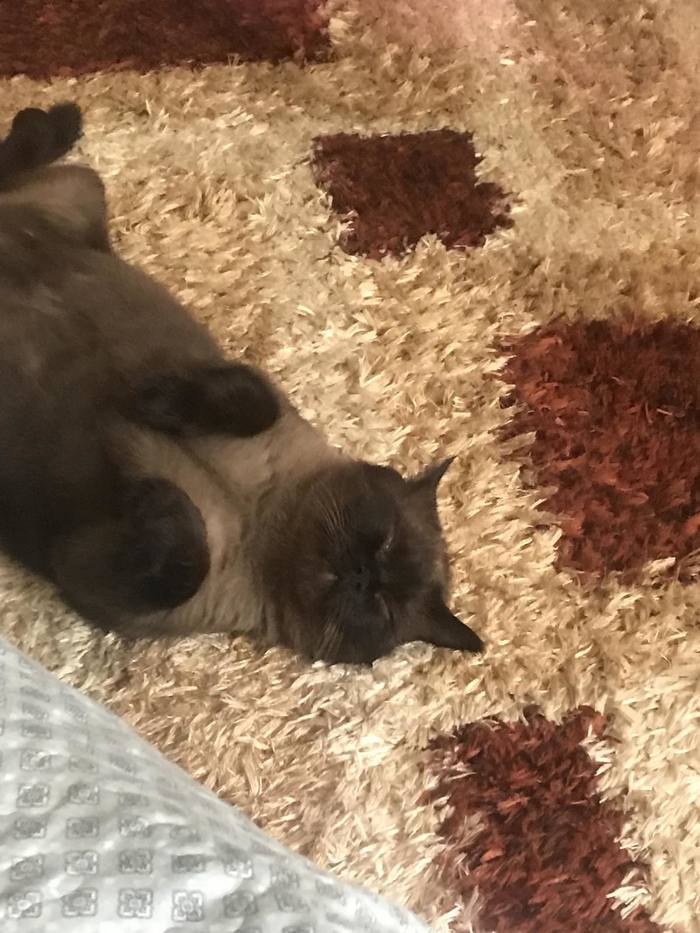 А Я ВАС ЖДАЛ