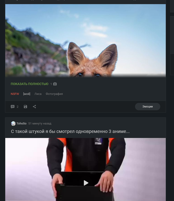 Сидишь, листаешь пикабу