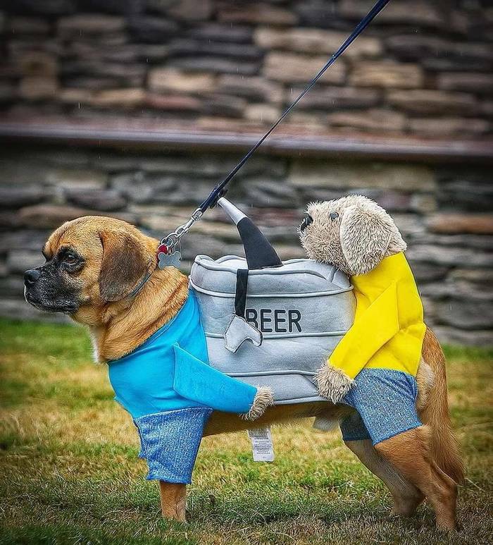 Главное, чтобы костюмчик был не пустой