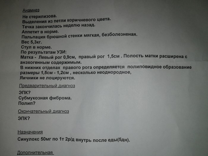 ложная щенность у собак что делать сколько длится. Смотреть фото ложная щенность у собак что делать сколько длится. Смотреть картинку ложная щенность у собак что делать сколько длится. Картинка про ложная щенность у собак что делать сколько длится. Фото ложная щенность у собак что делать сколько длится