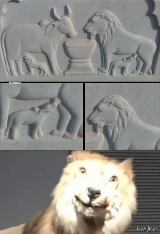    , , 