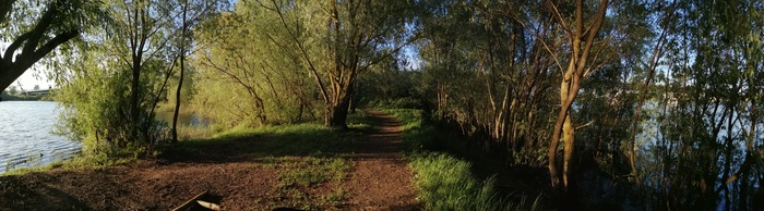 На дворе промозглый ноябрь, а я смотрю фото с весенней прогулки