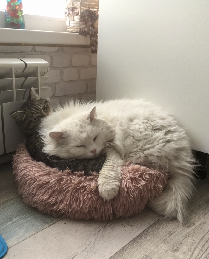 �����-�������� :))