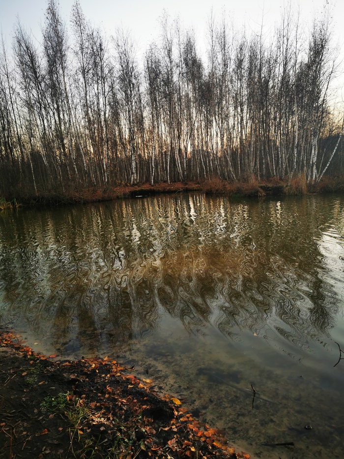 озеро донцо история происхождения. Смотреть фото озеро донцо история происхождения. Смотреть картинку озеро донцо история происхождения. Картинка про озеро донцо история происхождения. Фото озеро донцо история происхождения озеро донцо история происхождения. Смотреть фото озеро донцо история происхождения. Смотреть картинку озеро донцо история происхождения. Картинка про озеро донцо история происхождения. Фото озеро донцо история происхождения