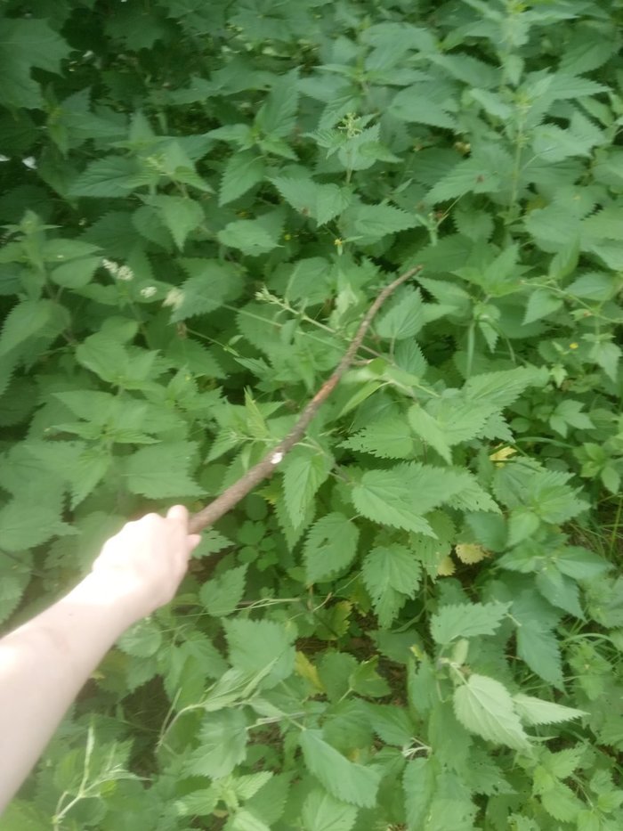 Ответ на пост "мой первый компьютер"