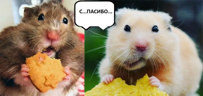 ����� �� ���� ���� �� �� ��������