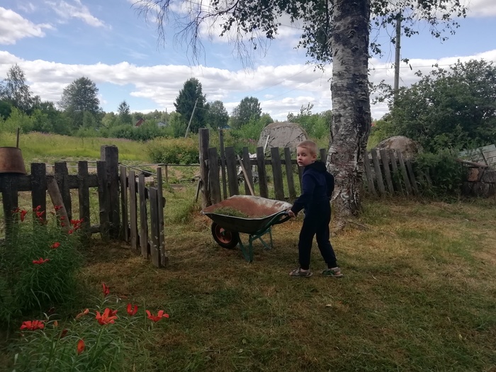 как узнать какая модель псп