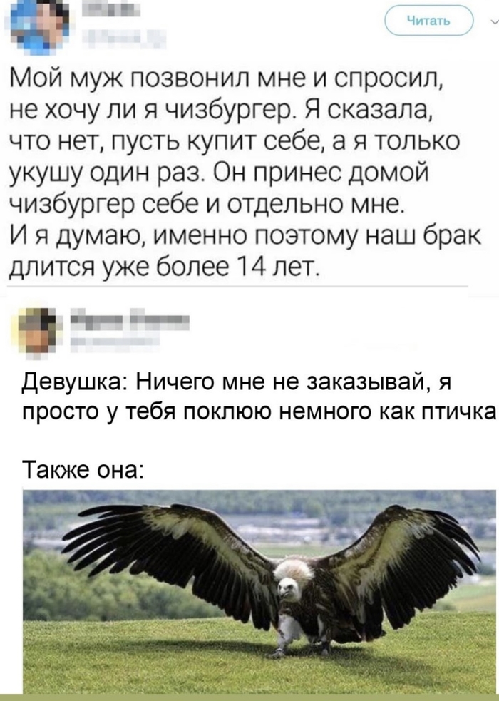 ��������)