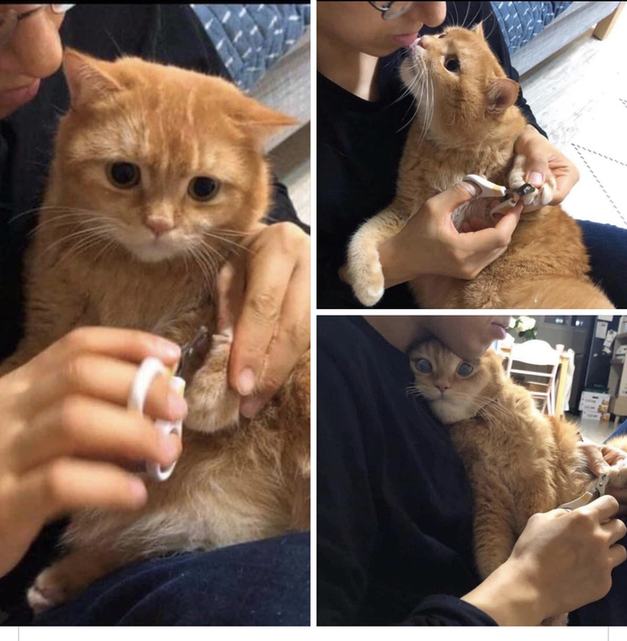 ����������