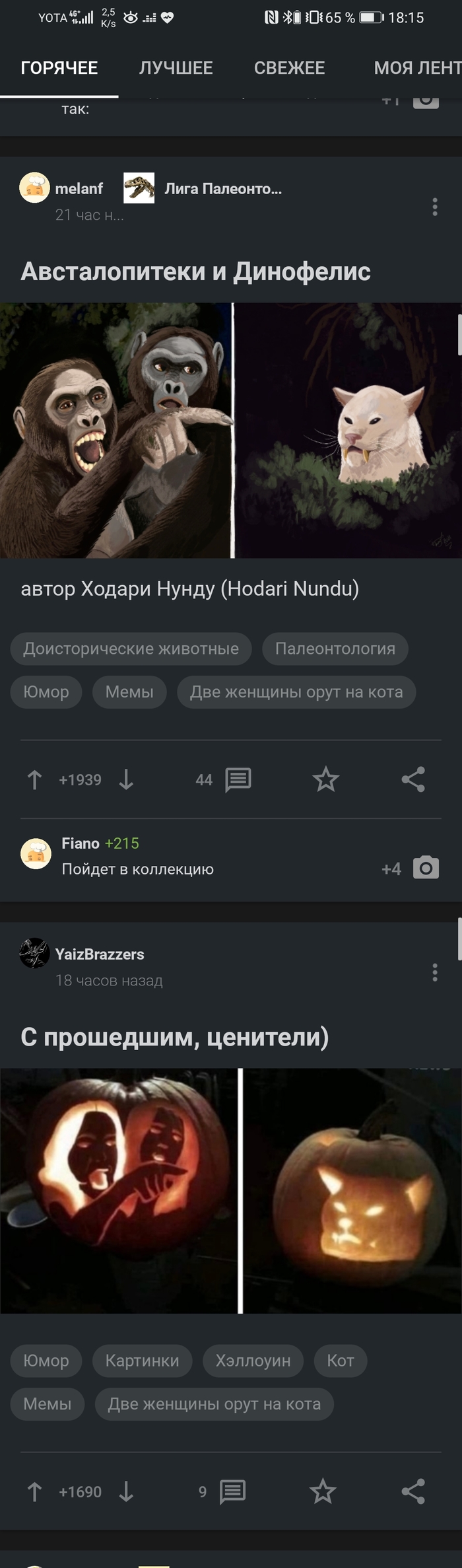 ����������?)