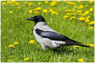 � � � � � �