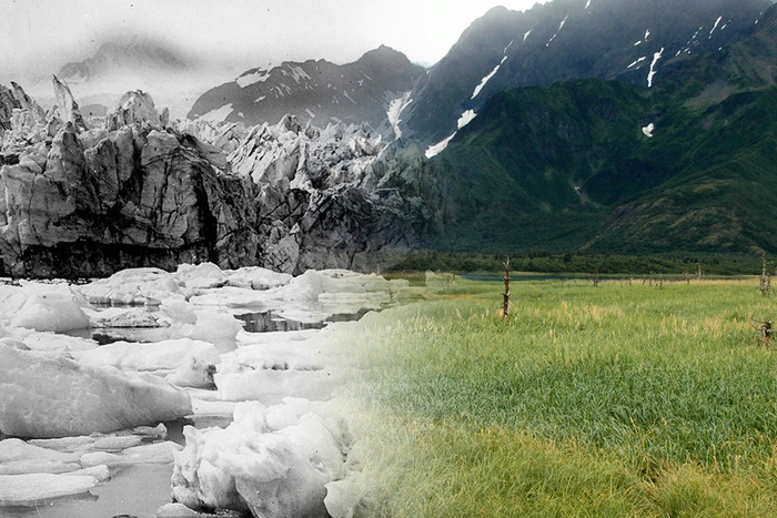 ������ �� ������ ����� ����� ��������