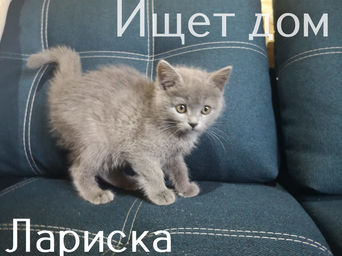 удивительное поражение мозга мем