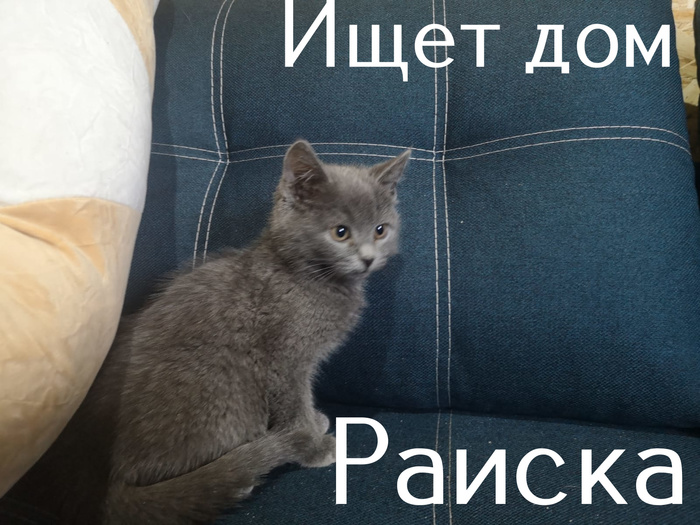 удивительное поражение мозга мем