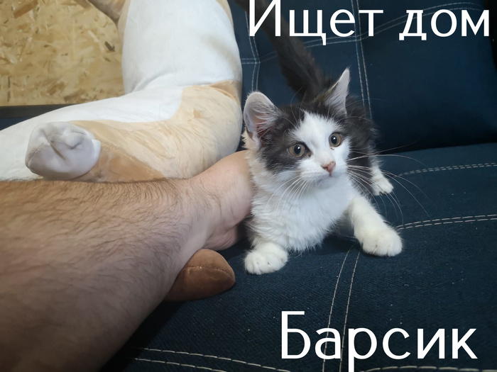 удивительное поражение мозга мем