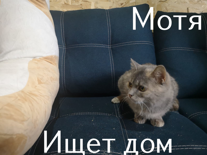 удивительное поражение мозга мем