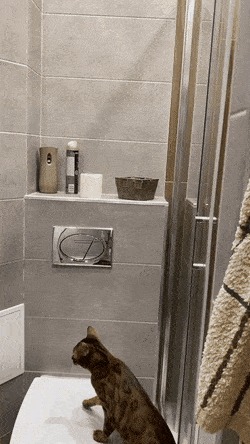      , , , 
