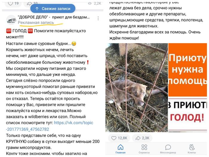 как узнать активные кредиты