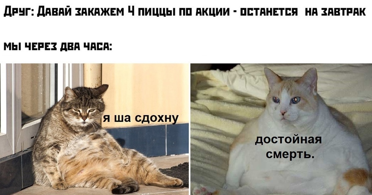 Друг и пицца мем