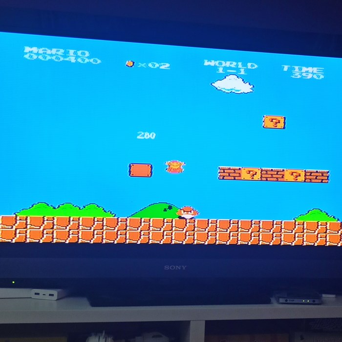 "��������" ����